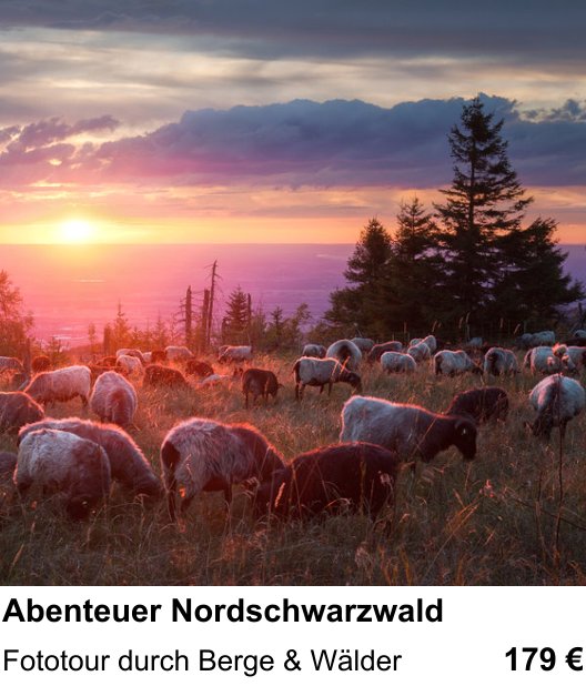 Anschaulicher Fotokurs rund um Abenteuer Nordschwarzwald: Fototour durch Berge & Wälder