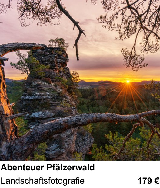 Anschaulicher Fotokurs rund um Abenteuer Pfälzerwald: Landschaftsfotografie