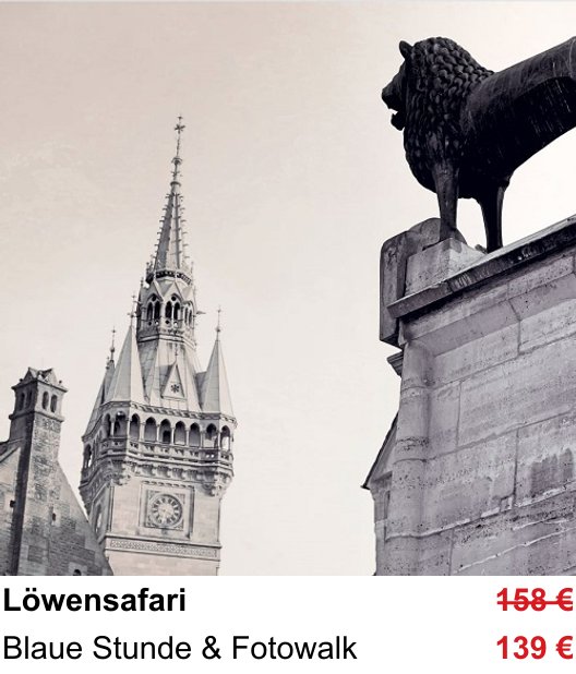 Fotoworkshop zum Thema Löwensafari in Braunschweig: Blaue Stunde & Fotowalk