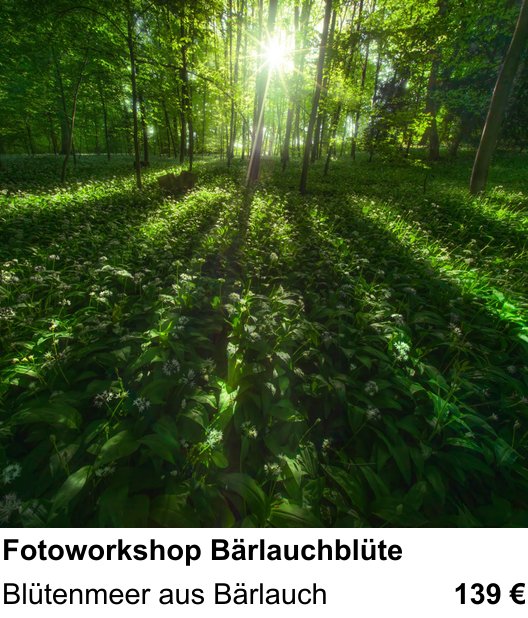 Anschaulicher Fotokurs rund um Fotoworkshop Bärlauchblüte: Blütenmeer aus Bärlauch