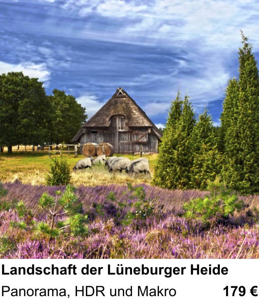 Anschaulicher Fotokurs rund um Landschaft der Lüneburger Heide: Panorama, HDR und Makro