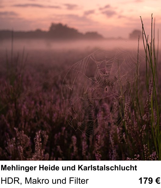 Anschaulicher Fotokurs rund um Mehlinger Heide und Karlstalschlucht: HDR, Makro und Filter