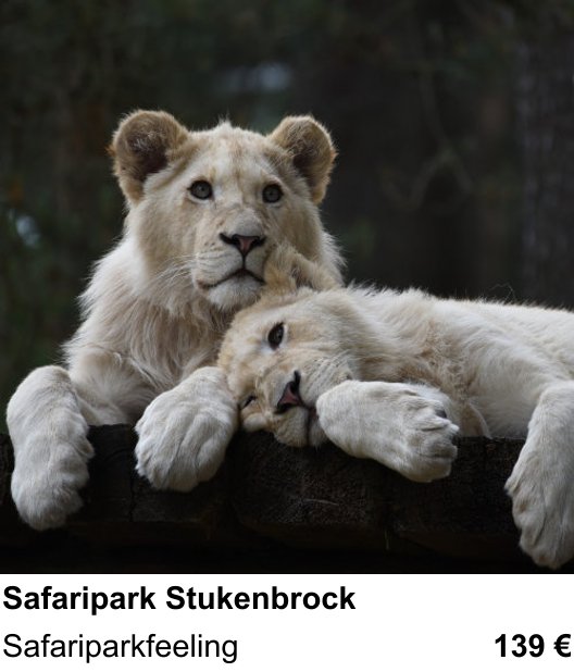 Anschaulicher Fotokurs rund um Safaripark Stukenbrock: Safariparkfeeling