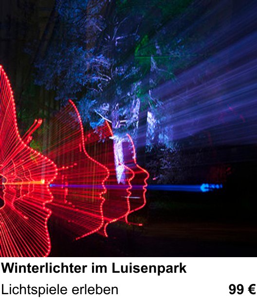Anschaulicher Fotokurs rund um Winterlichter im Luisenpark: Lichtspiele erleben