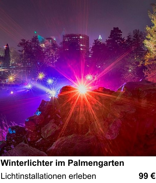 Anschaulicher Fotokurs rund um Winterlichter im Palmengarten: Lichtinstallationen erleben